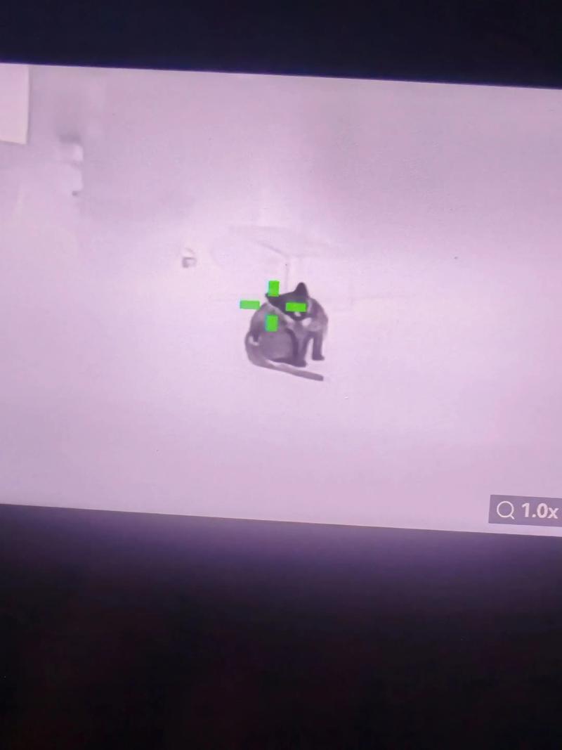 和平精英免费挂 锁头 透视(和平精英最好用的几把枪)